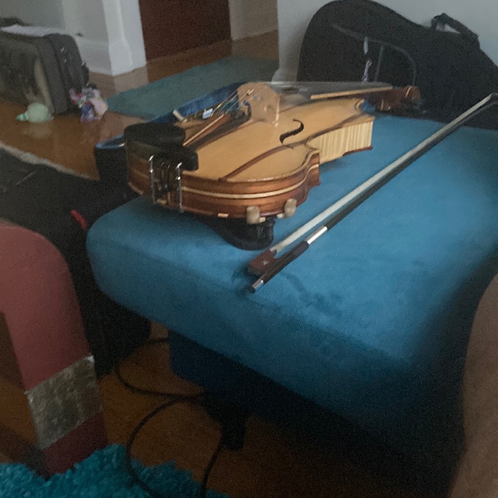 Violin